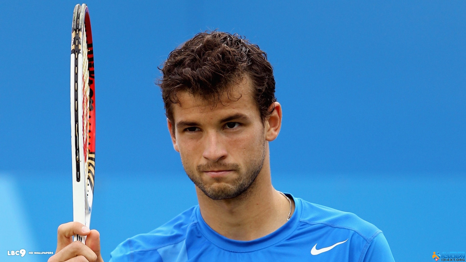 的热血与激 的热血与激